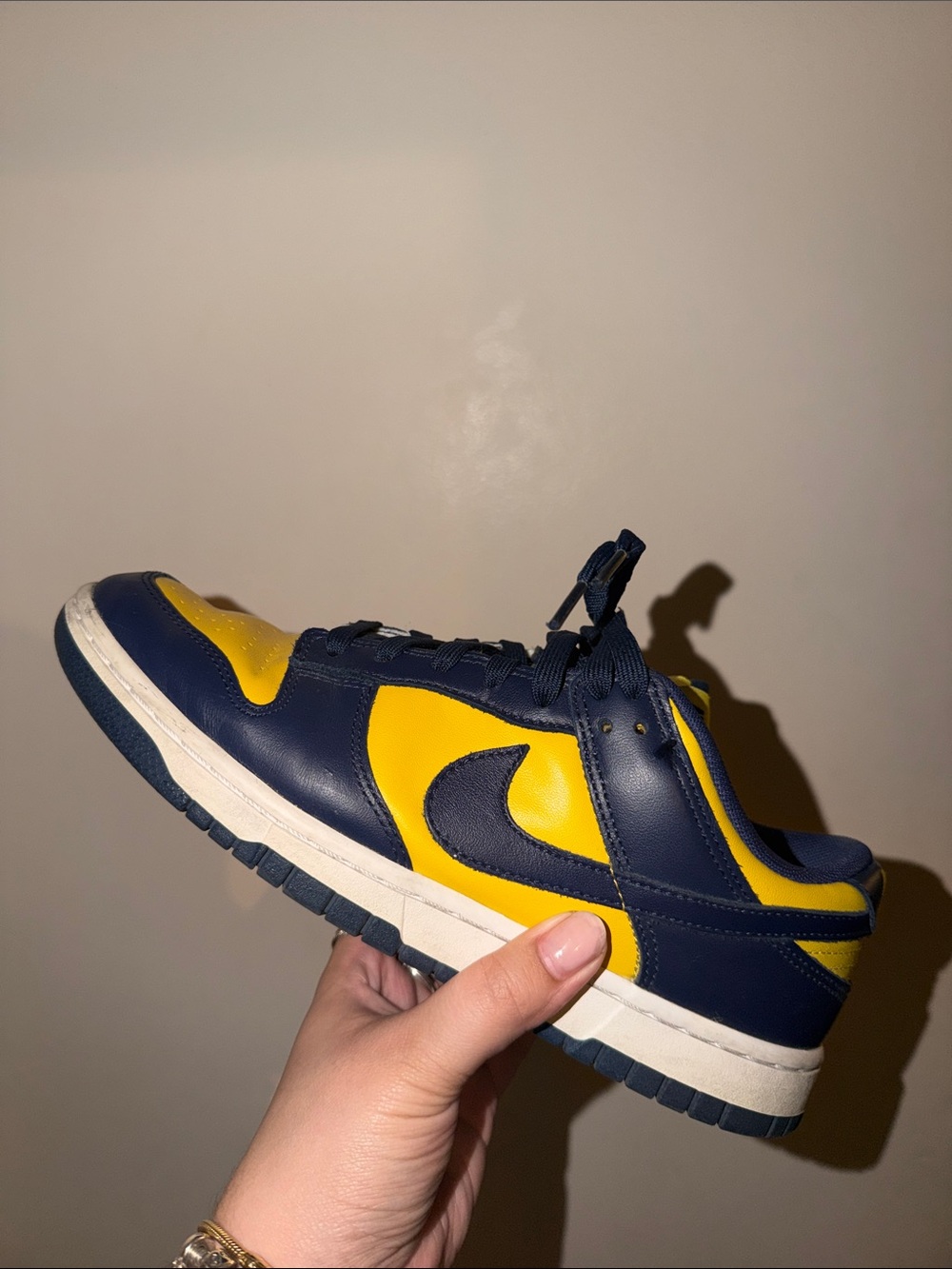 Nike Kids Dunk Low-Michigan
